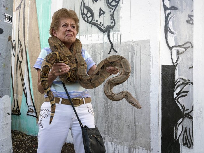 CIRCUM / Olympus - MIAMI - USA - Wynwood