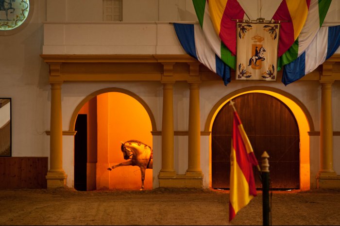 Jerez de la Frontera - Real Escuela Andaluza de Arte Ecuestre - Cadiz