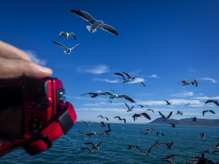 CIRCUM / Olympus - GAANSBAI - Sudáfrica