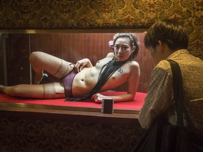 Tokyo, lovely heart - Private Party