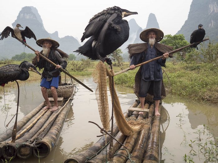 China - GUILIN - provincia de Guangxi - pescadores en el río Li.